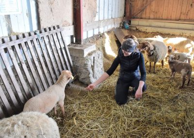 Ferme pédagogique - Le Malesherbois